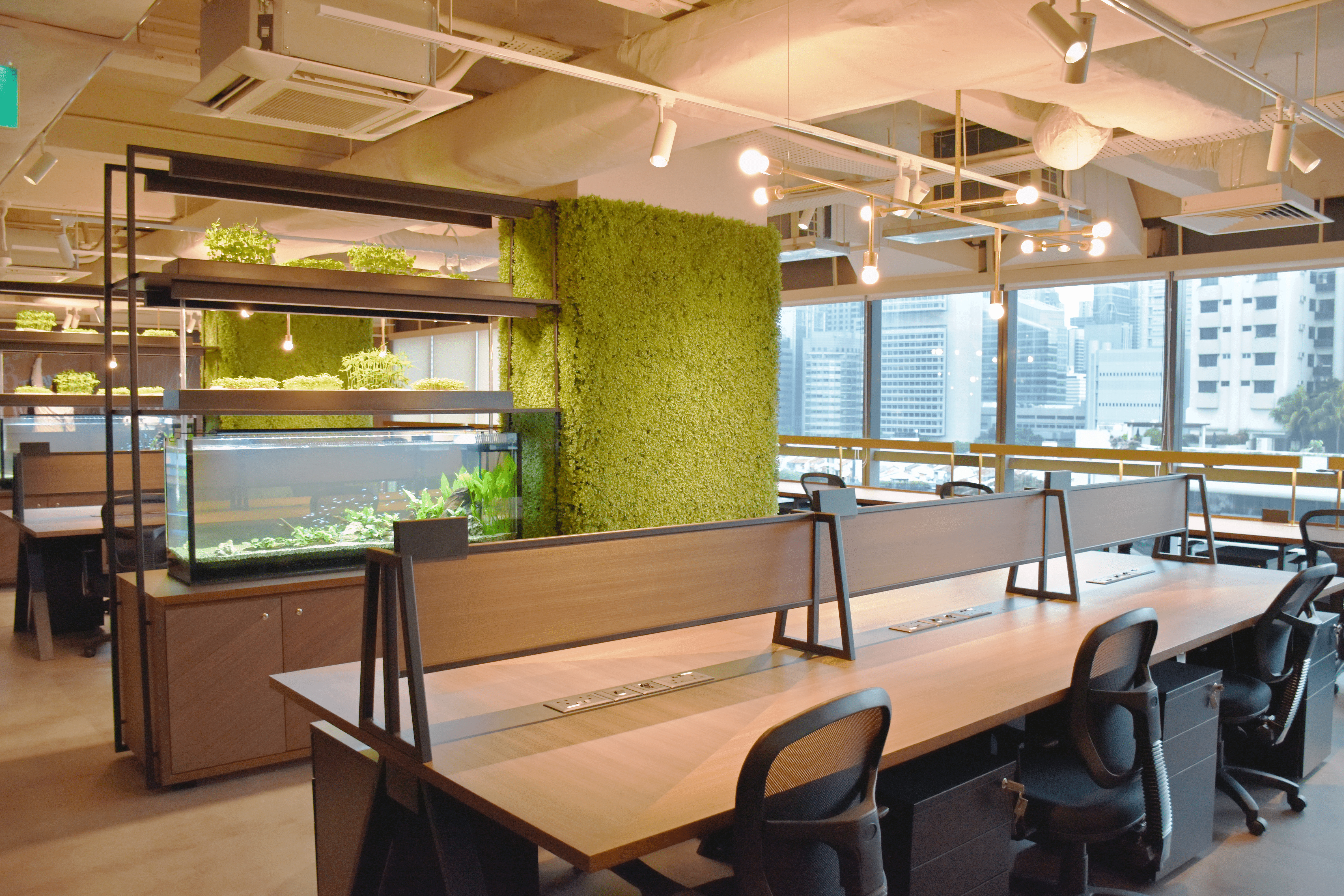 The Hive Dedicated Desk