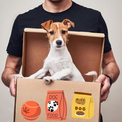 Image of dog in box of pet supplies