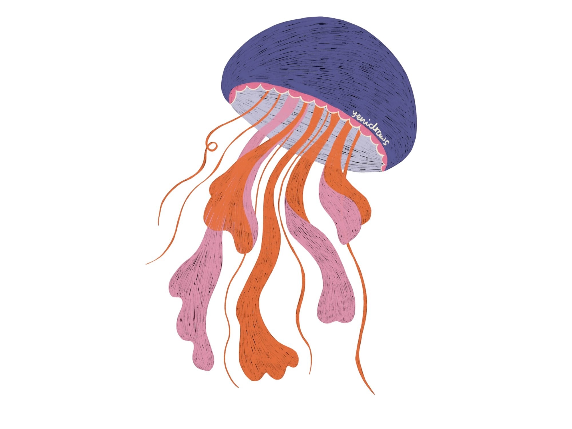 Jellyfish by Yenidraws